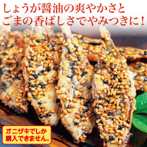 【食彩味紀行】きびなご姿焼き【3151】