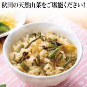 【食彩味紀行】秋田県産　天然山菜ごはんの素(2合用)【3674】