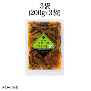 【食彩味紀行】秋田県産　天然山菜ごはんの素(2合用)【3674】 1
