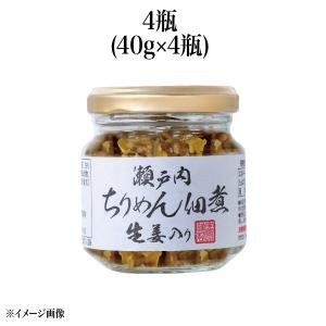 【食彩味紀行】瀬戸内ちりめん佃煮　生姜入り【3673】 1