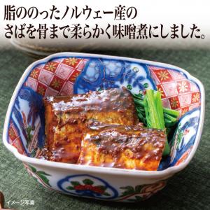 【食彩味紀行】さばの味噌煮【3143】