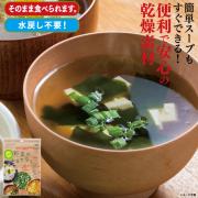 【食彩味紀行】野菜のおもてなし(小ねぎ)