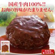 【食彩味紀行】国産牛肉100%ハンバーグ(オリジナルソース)