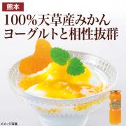 【食彩味紀行】みかんジャムソース【3037】