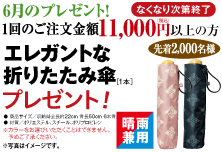 6月プレゼントキャンペーン