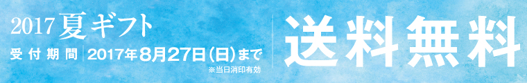送料無料ギフト