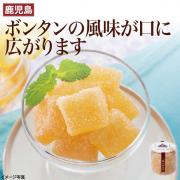 【食彩味紀行】ボンタン漬け 舟切【3044】