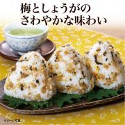 【食彩味紀行】梅しょうがごはんの素【3660】