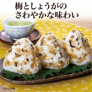 【食彩味紀行】梅しょうがごはんの素【3660】