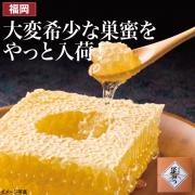 【食彩味紀行】国産純粋巣蜜