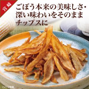 【食彩味紀行】ゴボチ プレーン醤油味【3123】