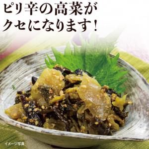 【食彩味紀行】九州産きくらげ・ザーサイ入りからし高菜【3148】