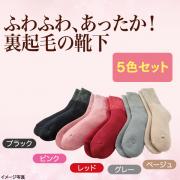 裏起毛ぬくぬくソックス5色組【4123】