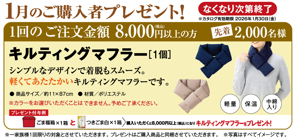  プレゼントのご案内