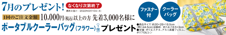 プレゼント