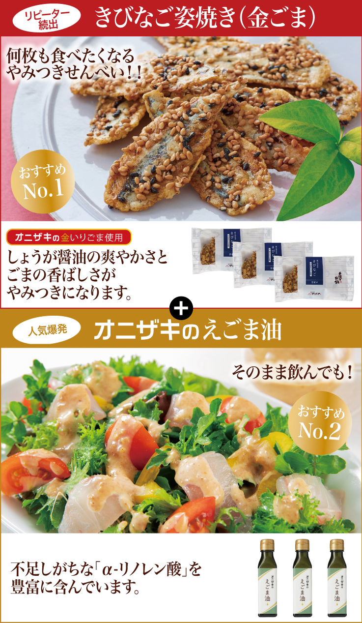 大人気セット1