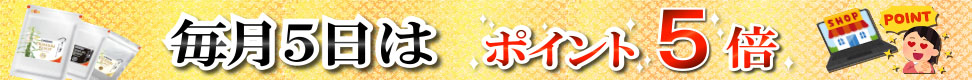 ポイント5倍