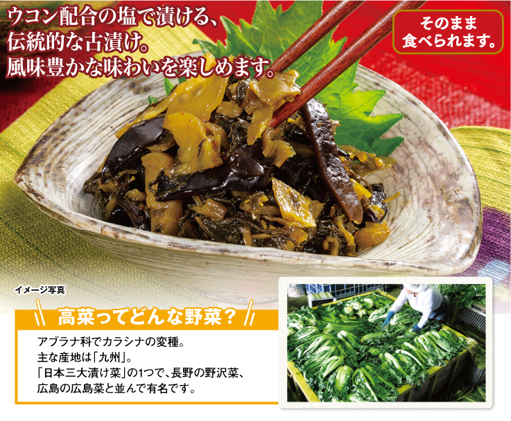 きくらげ・ザーサイ入りからし高菜