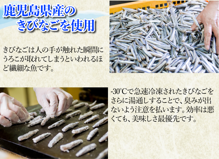 きびなご姿焼き