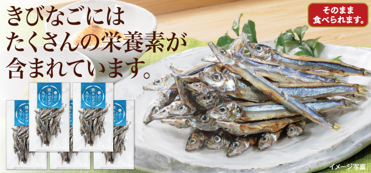 焼キビナゴ丸干し