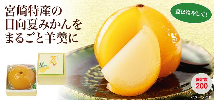 日向夏ようかん