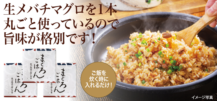まぐろごはん