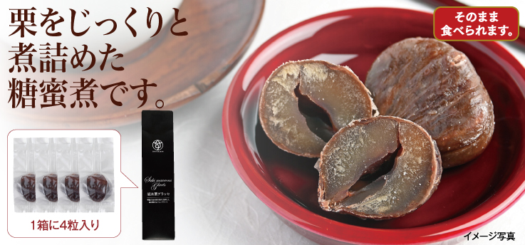 須木栗マロングラッセ