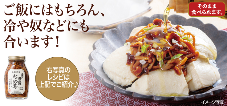 野生種なめ茸