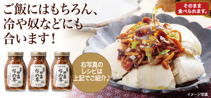 野生種なめ茸