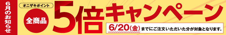 6月ポイント