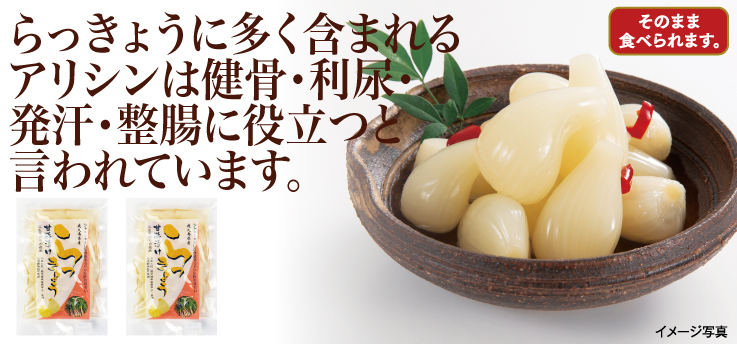 砂丘らっきょう
