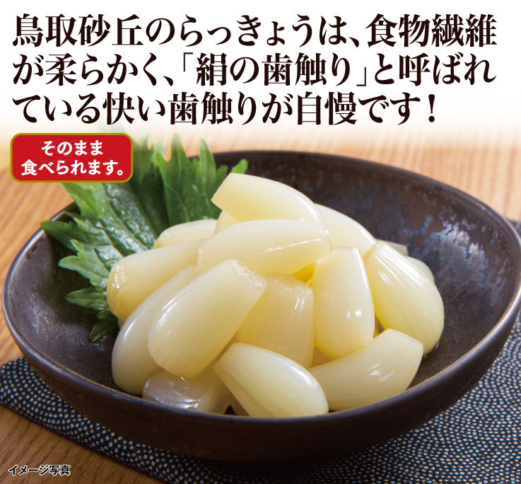 らっきょう