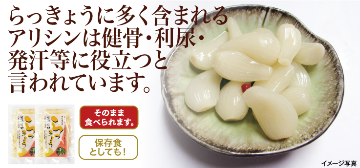 らっきょう