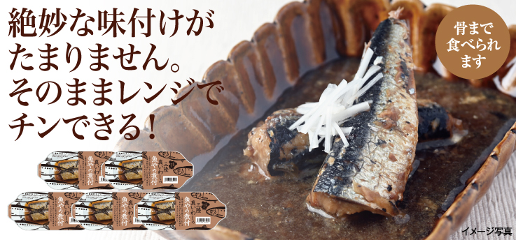 三陸真いわし