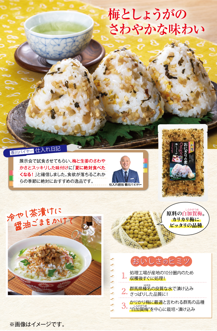 天然山菜ごはんの素