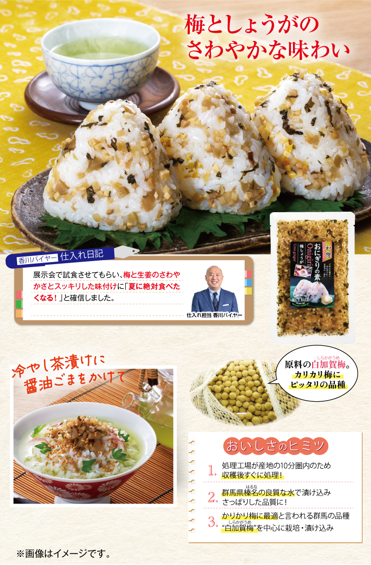 天然山菜ごはんの素