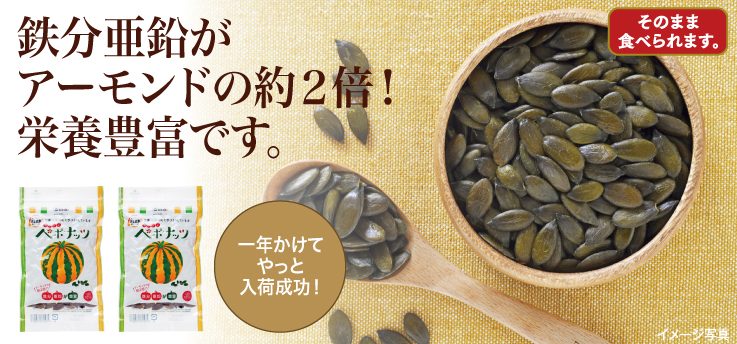 わっさむ
