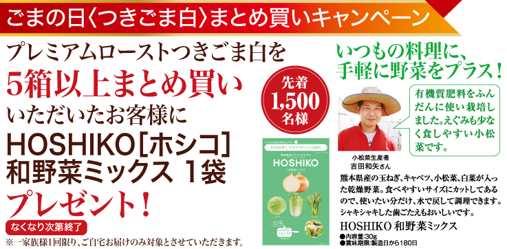 プレゼント企画