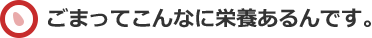 小さなゴマに秘められた
