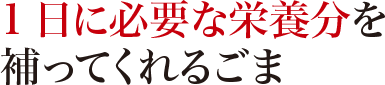 1日に必要な栄養分を補ってくれるごま