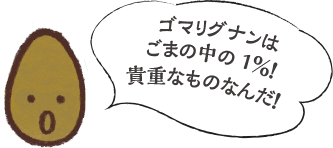 ゴマリグナンはごまの中の1％！貴重なものなんだ！