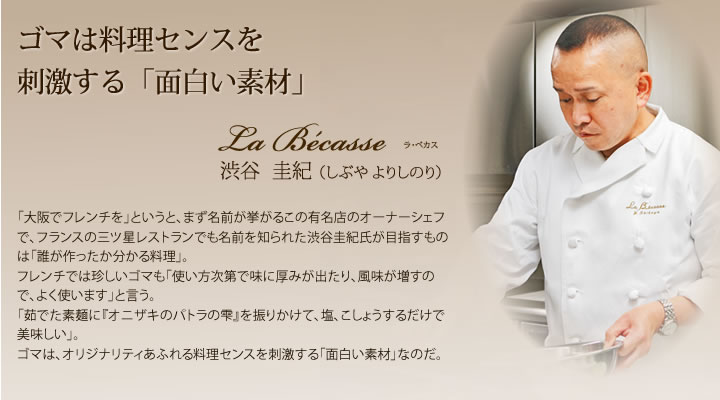 渋谷圭紀 |「ごまの通販専門店」オニザキ公式ショップ